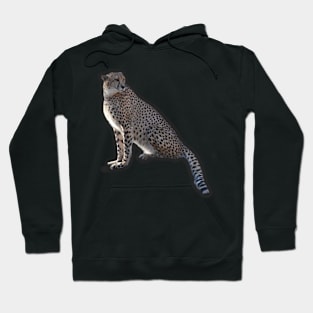 Cheetah Hoodie